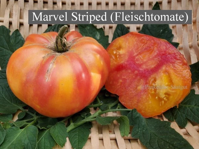 Marvel Striped (Fleischtomate)
