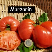 Mazarini