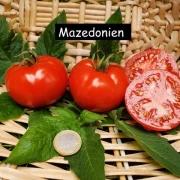 Mazedonien (rot, rund) grisch
