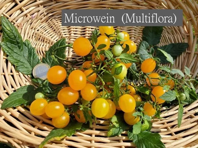 Microwein  (Multiflora)