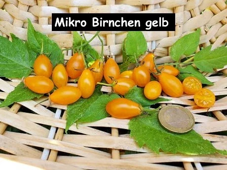 Mikro Birnchen, gelb