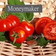 Moneymaker