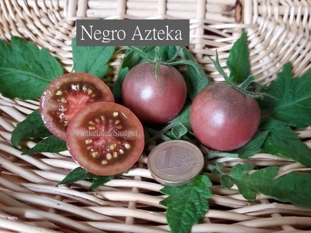 Negro Azteka, Cherrytomate