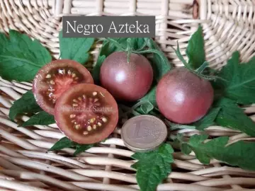 Negro Azteka, Cherrytomate