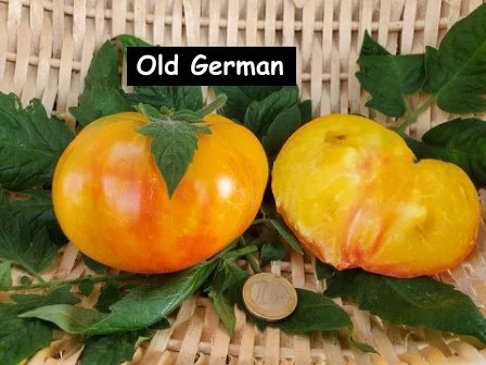 Old German