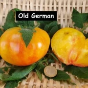 Old German