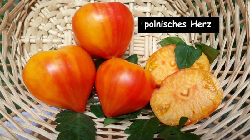 polnisches Herz