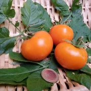 Orange Strawberry