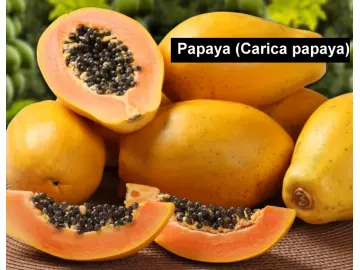 Papaya ( Carica papaya)