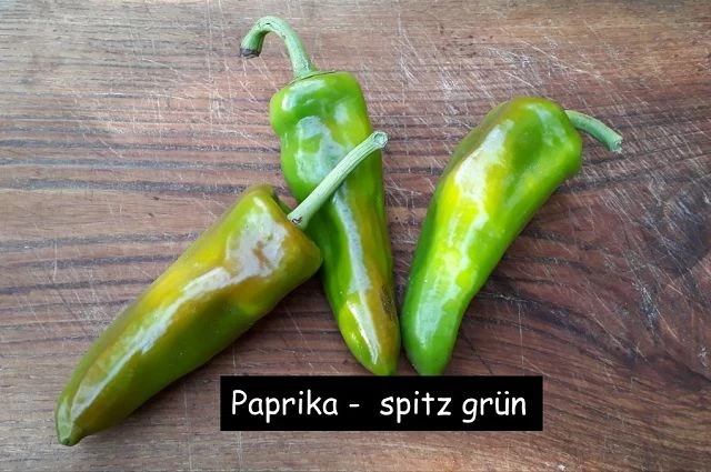 Paprika -  spitz grün
