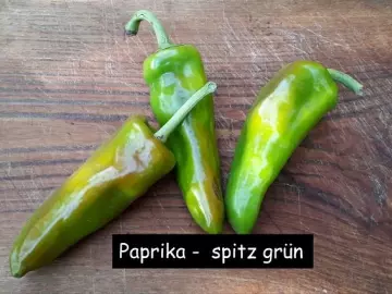 Paprika -  spitz grün