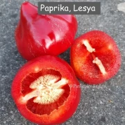Paprika,  Lesya