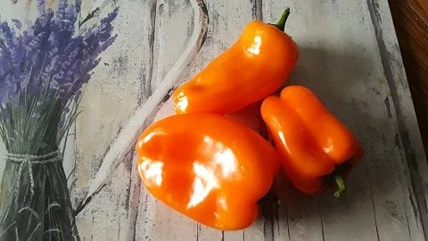 Paprika , gross, orange