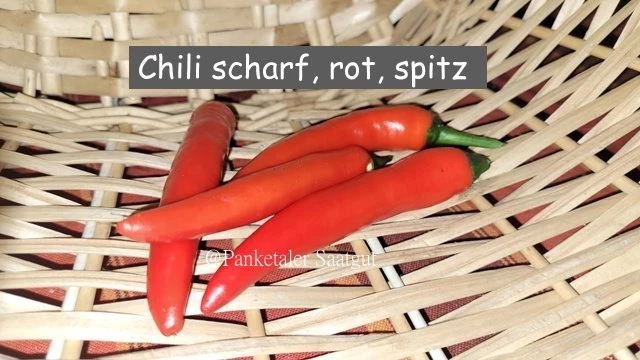 Paprika /Chili scharf,lang, rot