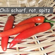 Paprika /Chili scharf,lang, rot