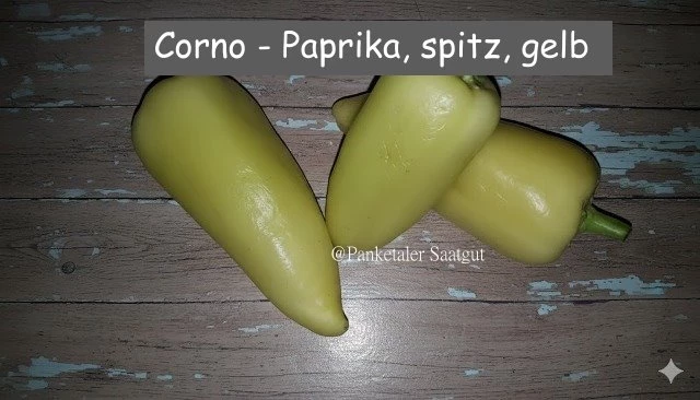 Paprika *Corno*