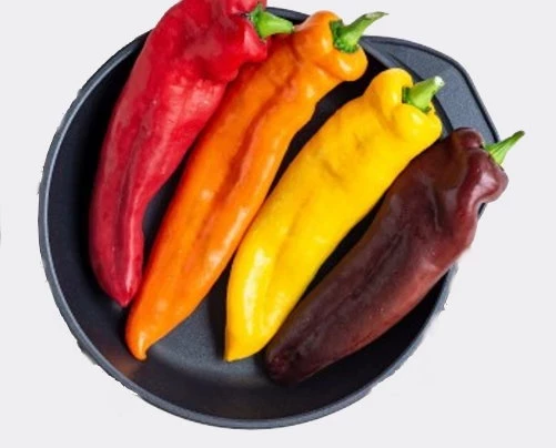 Paprika, Sweet Palermo, rot, spitz
