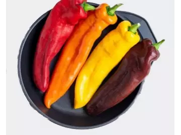 Paprika, Sweet Palermo, rot, spitz