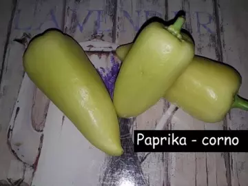 Paprika *Corno*