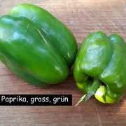 Paprika, gross, grün
