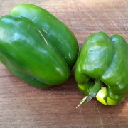 Paprika, gross, grün