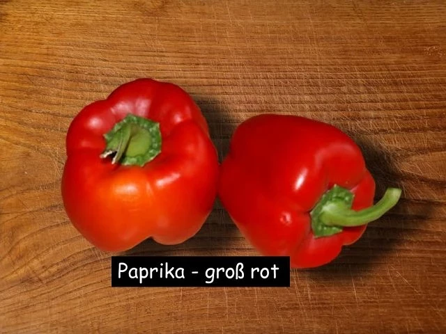 Paprika, gross rot