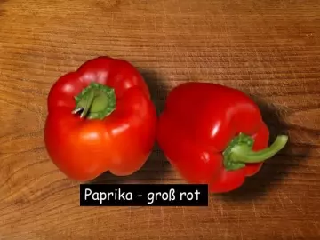 Paprika, gross rot