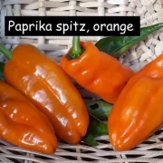 Paprika spitz, orange