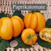 Paprikatomate