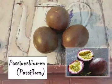 Passionsblumen (Passiflora) (2)