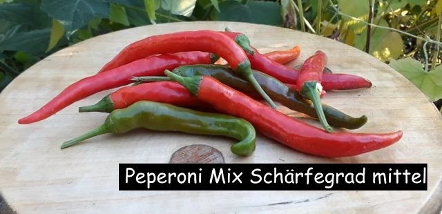 Peperoni Mix Schärfegrad mittel