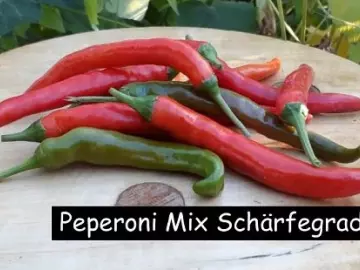 Peperoni Mix Schärfegrad mittel