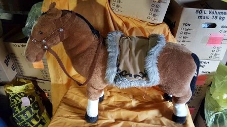 Pferd