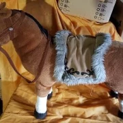 Pferd