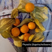 Physalis (Kapstachelbeere)