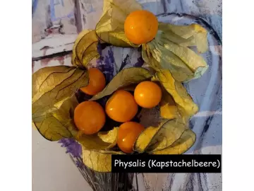 Physalis (Kapstachelbeere)
