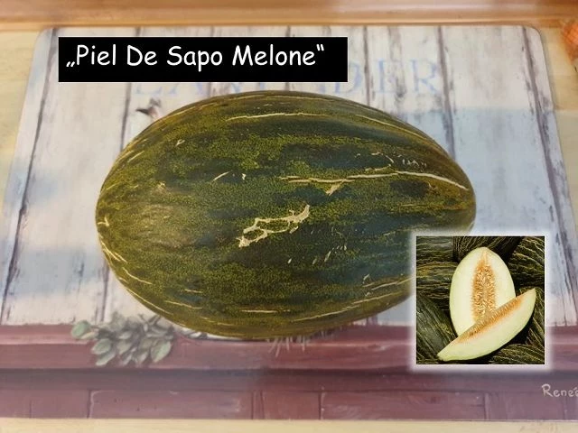 Piel De Sapo Melone