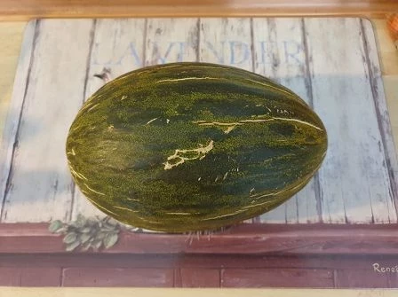 Piel De Sapo Melone