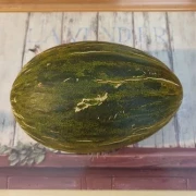 Piel De Sapo Melone