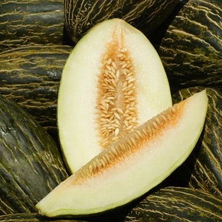 Piel De Sapo Melone