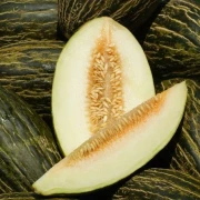 Piel De Sapo Melone