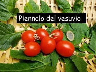 Piennoa del Vegurio