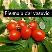 Piennoa del Vegurio