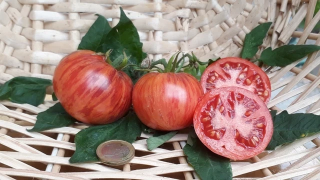 Pomme d or de Saint Jean de Beauregard