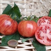 Pomme d or de Saint Jean de Beauregard