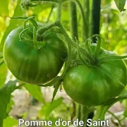 Pomme d or de Saint Jean de Beauregard