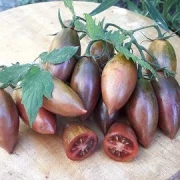 Purple Smaragd