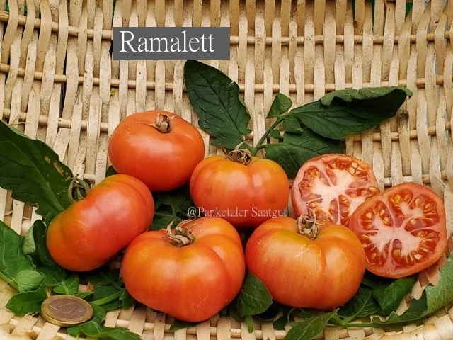 Ramalett