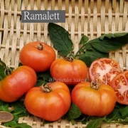 Ramalett