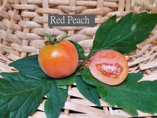 Red Peach (Kirschtomate)